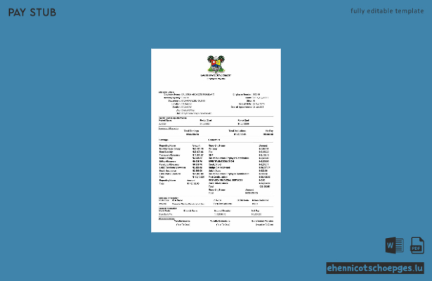 Gehaltsabrechnung für Angestellte der Regierung des Bundesstaates Lagos, Version 2 – Beispielvorschau